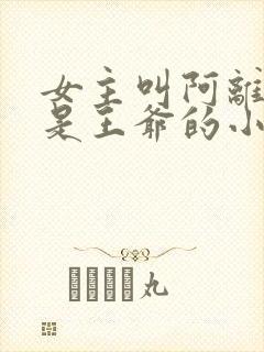 女主叫阿离男主是王爷的小说