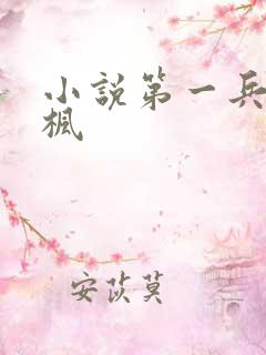 小说第一兵王于枫