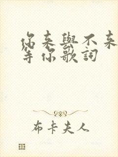 你来与不来我都等你歌词