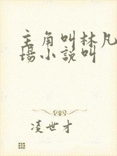 主角叫林凡的官场小说叫