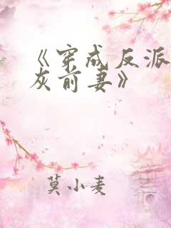 《穿成反派的炮灰前妻》