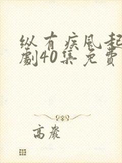 纵有疾风起电视剧40集免费