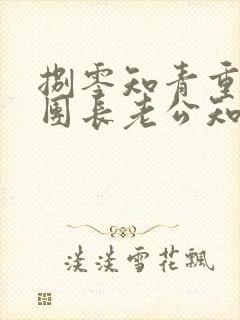 捌零知青重生,团长老公知错了罗苗月陆政