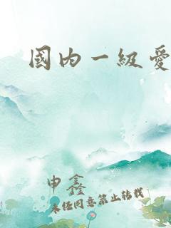 国内一级爱爱片