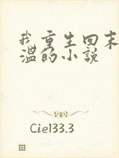 我重生回末世高温的小说