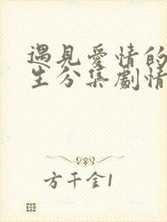 遇见爱情的利先生分集剧情