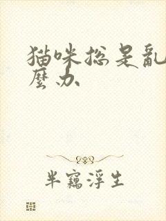 猫咪总是乱尿怎么办