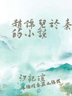 赵锦儿于秦慕修的小说