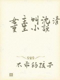 女主叫沈清宁的重生小说