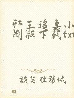 邪王追妻小说未删版下载txt