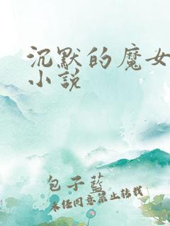沉默的魔女秘密小说