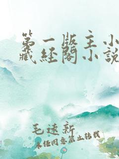 第一版主小说网藏经阁小说网