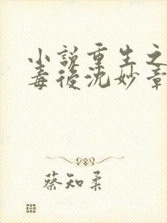 小说重生之将门毒后沈妙章节目录