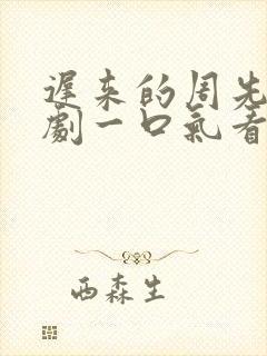 迟来的周先生短剧一口气看完