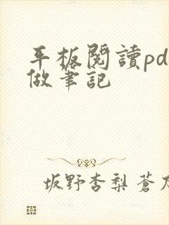 平板阅读pdf做笔记