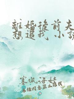离婚后前夫总是想追我 小说