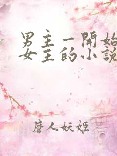 男主一开始讨厌女主的小说