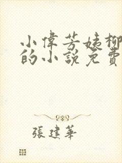 小伟芳姨柳娇娇的小说免费阅读