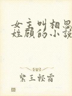 女主叫相思男主姓顾的小说
