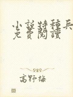 小说特种兵之王免费阅读