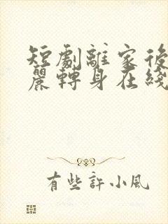 短剧离家后她华丽转身在线观看