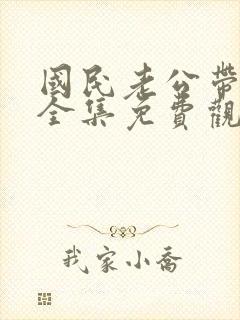 国民老公带回家全集免费观看