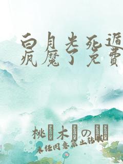 白月光死遁后他疯魔了免费阅读