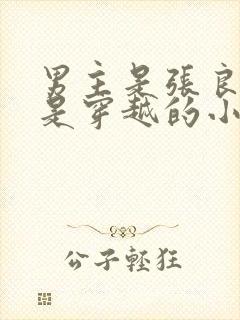 男主是张良女主是穿越的小说