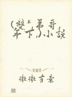 (双*,弟哥,年下,)小说