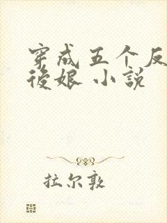 穿成五个反派的后娘 小说