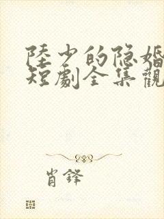 陆少的隐婚罪妻短剧全集观看