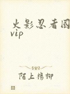 火影忍者国语版vip