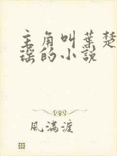 主角叫叶楚姜君瑶的小说