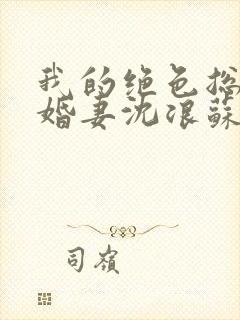 我的绝色总裁未婚妻沈浪苏若雪