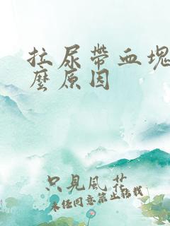 拉尿带血块是什么原因