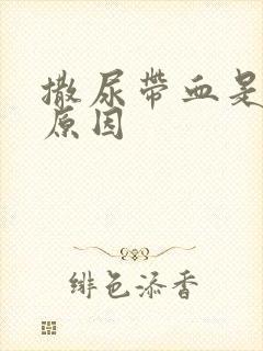 撒尿带血是什么原因