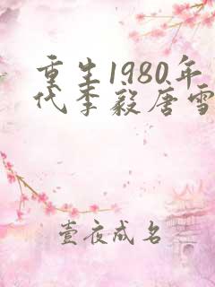 重生1980年代李毅唐雪
