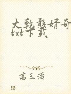 大乾憨婿奇书网txt下载