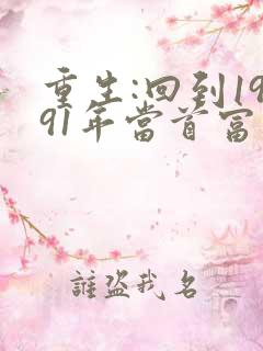 重生:回到1991年当首富 最新章节