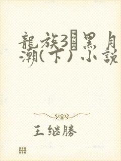 龙族3·黑月之潮(下) 小说笔趣阁