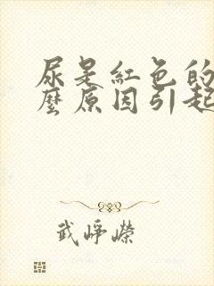 尿是红色的是什么原因引起的