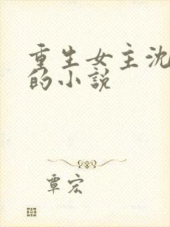 重生女主沈婉宁的小说