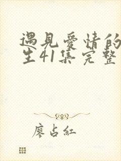 遇见爱情的利先生41集完整版