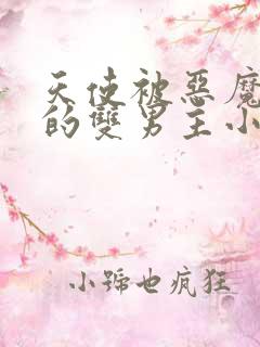 天使被恶魔囚禁的双男主小说