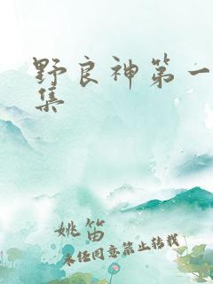 野良神第一季全集