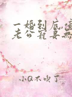 一婚到底,亿万老公宠妻无度