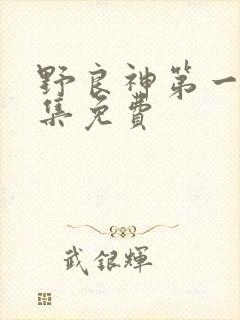 野良神第一季全集免费