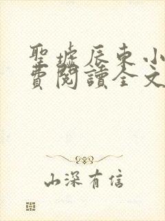 圣墟辰东小说免费阅读全文