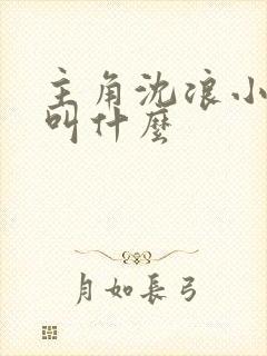 主角沈浪小说名叫什么