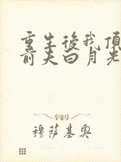 重生后我顶替了前夫白月光 无弹窗